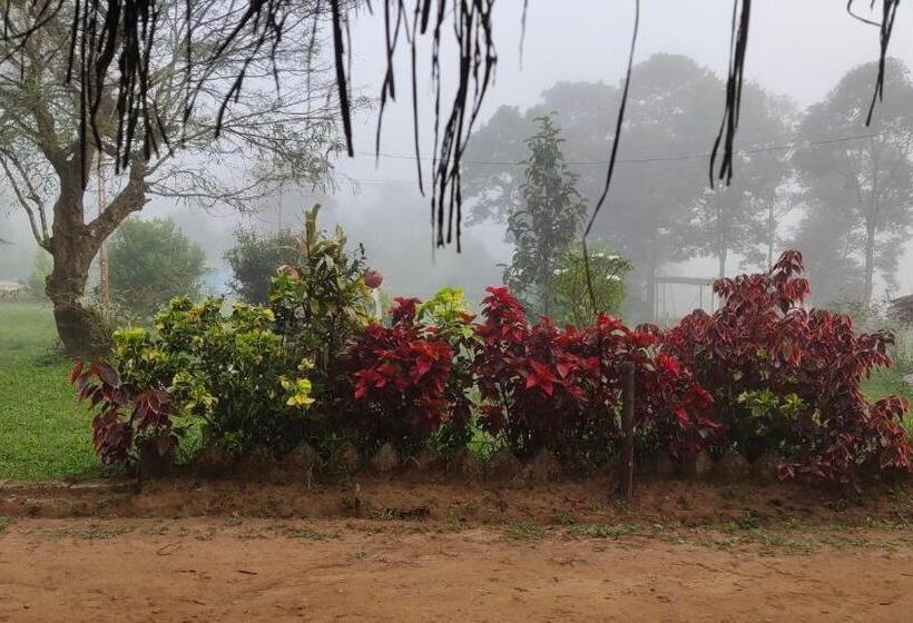 经济房, Stoneage Resort Sakleshpur