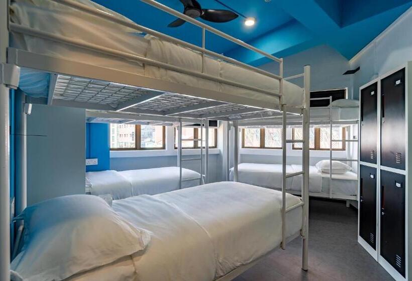 تختخواب در اتاق مشترک, Rucksack Inn Tyrwhitt Road