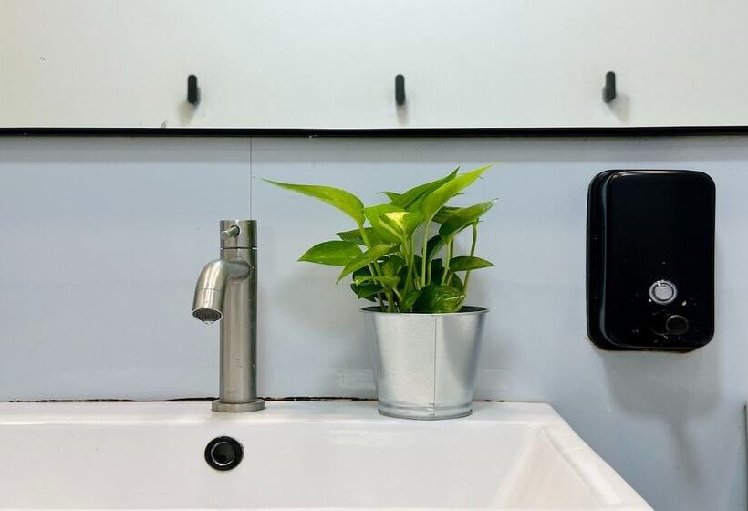 تختخواب در اتاق مشترک, Rucksack Inn Tyrwhitt Road