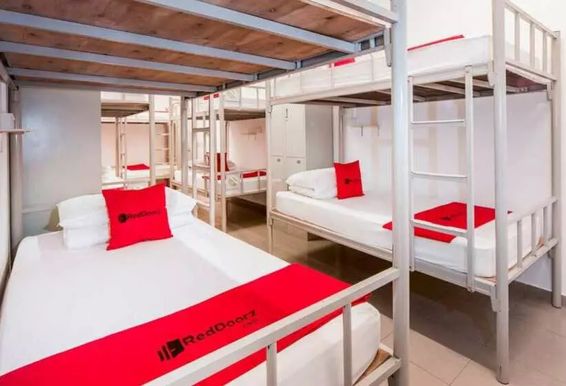 تختخواب در اتاق مشترک, Coziee Lodge Hostel