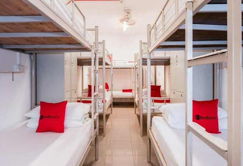 共用房间的床, Coziee Lodge Hostel