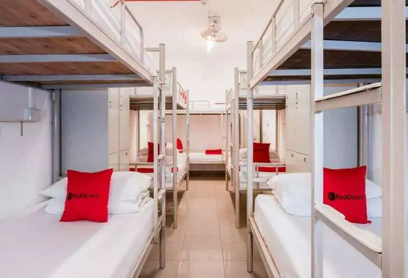 تختخواب در اتاق مشترک, Coziee Lodge Hostel