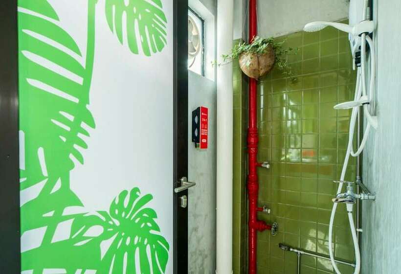 共用房间的床, Coziee Lodge Hostel