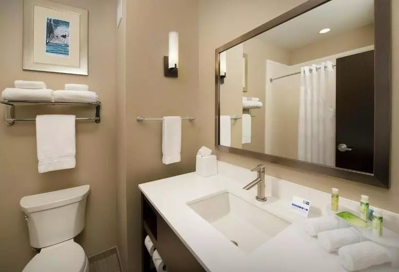 スタンダードルーム, Holiday Inn Express Hotel & Suites Waco South, An Ihg
