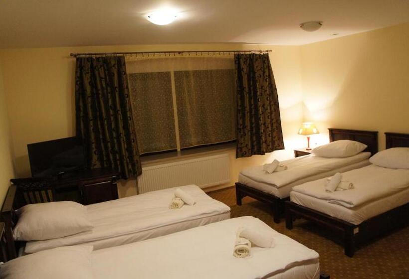 חדר סטנדרט לארבעה, Dworska Elektrownia