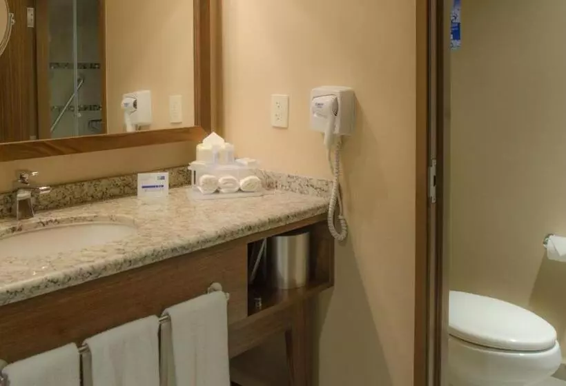 スタンダードルーム, Holiday Inn Express And Suites Celaya, An Ihg