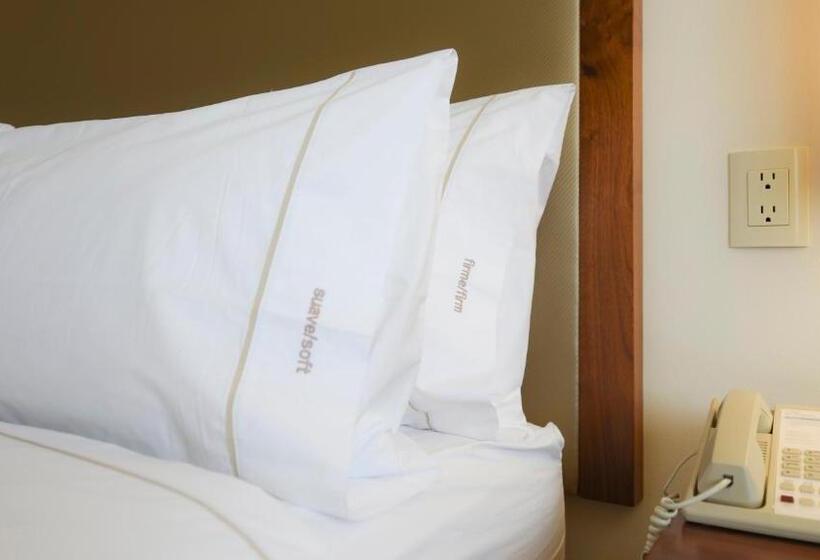 标准间, Holiday Inn Express And Suites Celaya, An Ihg