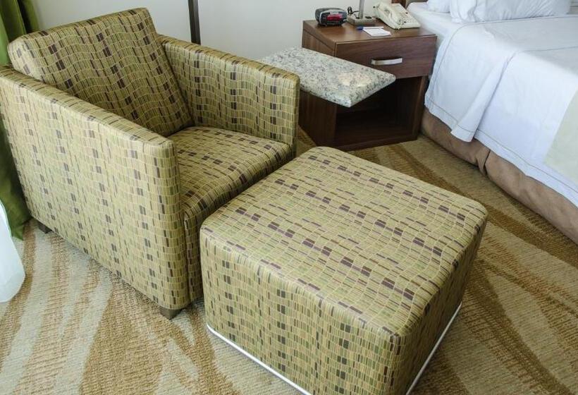 スタンダードルーム, Holiday Inn Express And Suites Celaya, An Ihg
