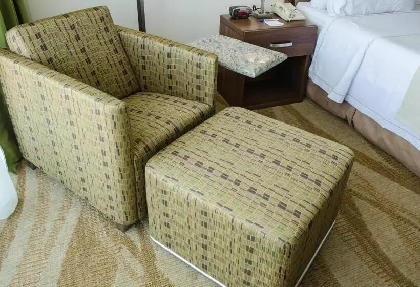 スタンダードルーム, Holiday Inn Express And Suites Celaya, An Ihg