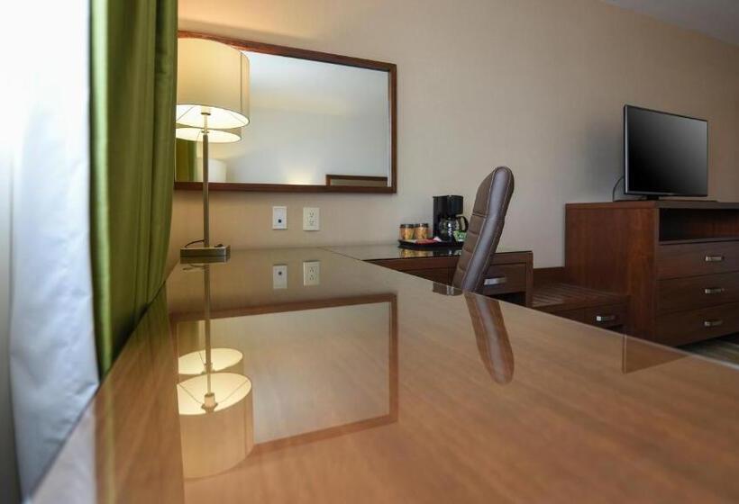 标准间, Holiday Inn Express And Suites Celaya, An Ihg