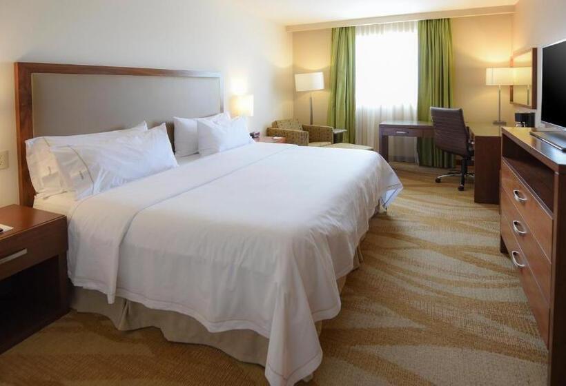 キングサイズベッドのエクゼクティブルーム, Holiday Inn Express And Suites Celaya, An Ihg