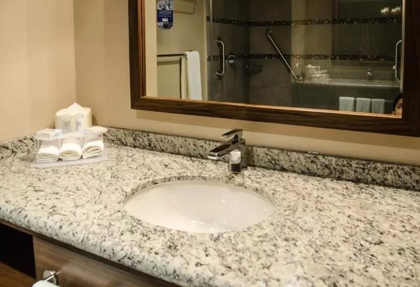 キングサイズベッドのエクゼクティブルーム, Holiday Inn Express And Suites Celaya, An Ihg