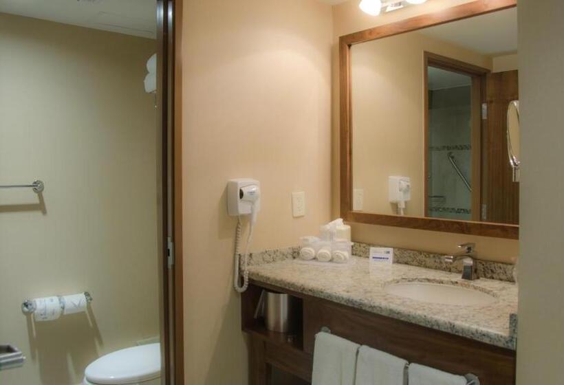 带大床的标准间, Holiday Inn Express And Suites Celaya, An Ihg