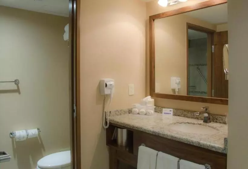 キングサイズベッドのスタンダードルーム, Holiday Inn Express And Suites Celaya, An Ihg