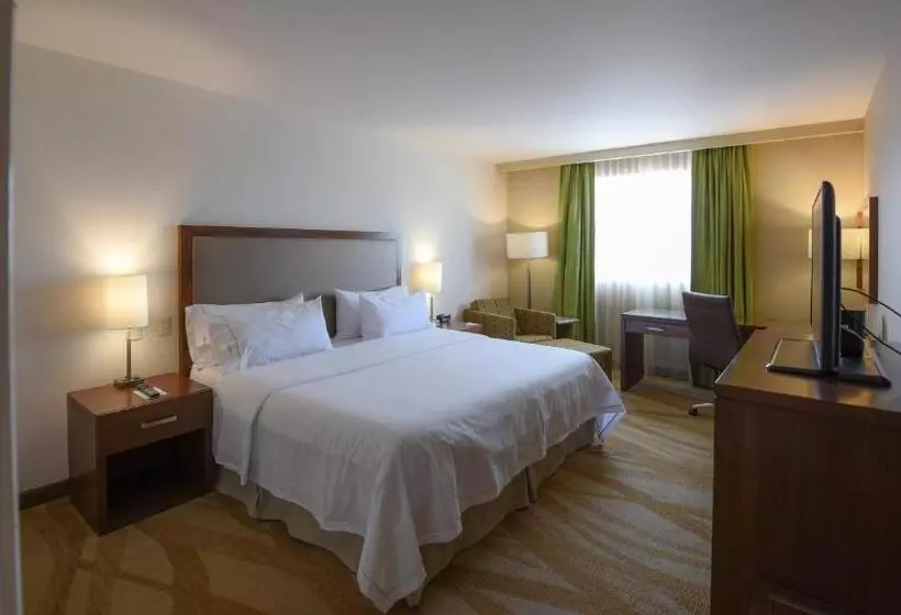 キングサイズベッドのスタンダードルーム, Holiday Inn Express And Suites Celaya, An Ihg