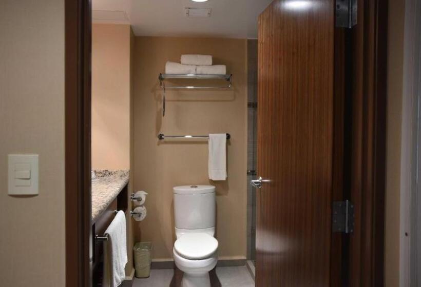 带大床的标准间, Holiday Inn Express And Suites Celaya, An Ihg