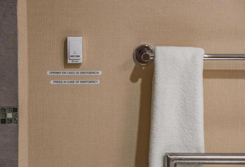 身障者適用キングサイズベッドルーム, Holiday Inn Express And Suites Celaya, An Ihg