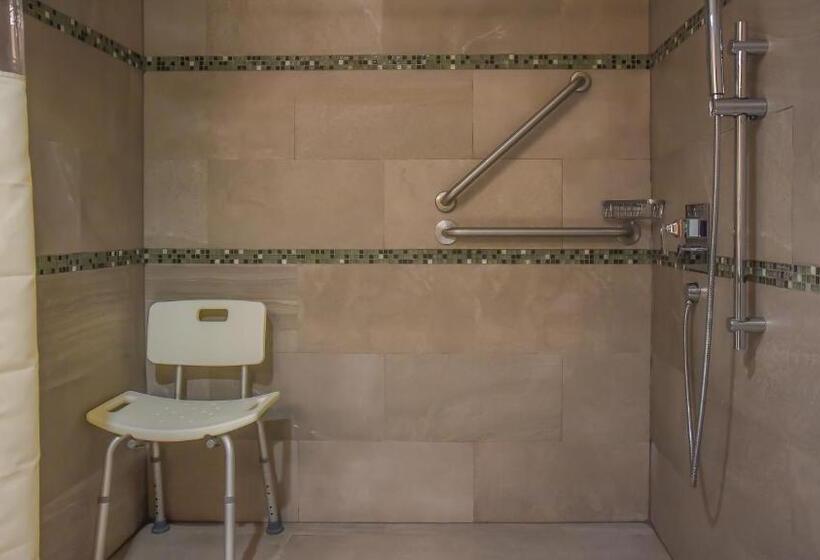 适合残疾人士使用的带超级大床的标准间, Holiday Inn Express And Suites Celaya, An Ihg