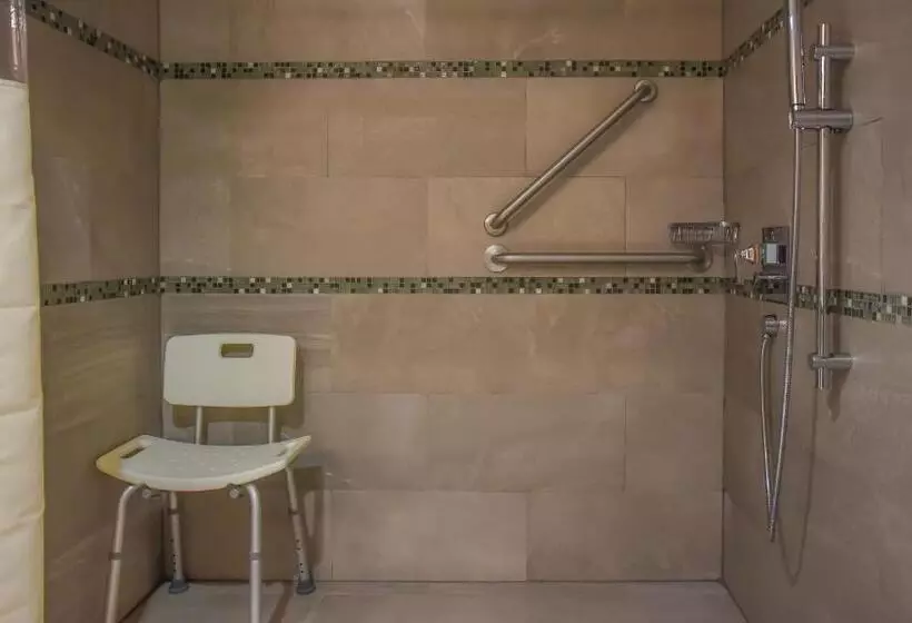 身障者適用キングサイズベッドルーム, Holiday Inn Express And Suites Celaya, An Ihg