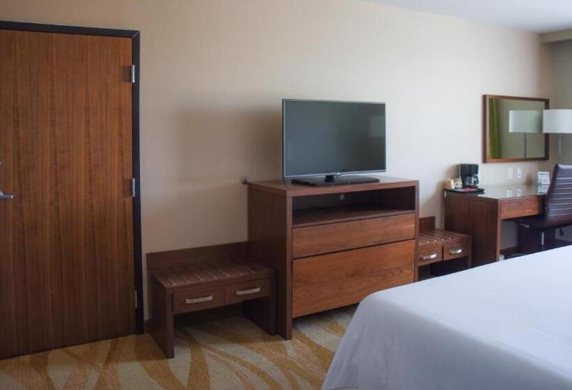 适合残疾人士使用的带超级大床的标准间, Holiday Inn Express And Suites Celaya, An Ihg