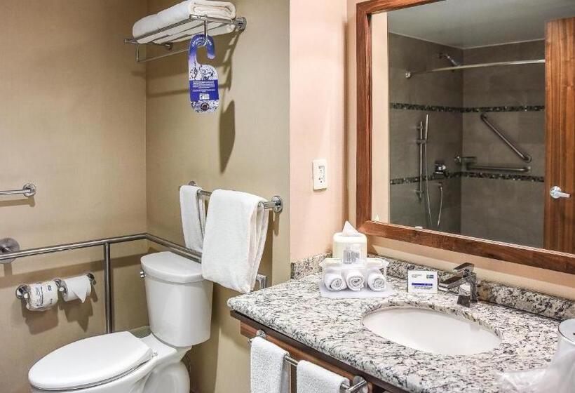 身障者適用キングサイズベッドルーム, Holiday Inn Express And Suites Celaya, An Ihg