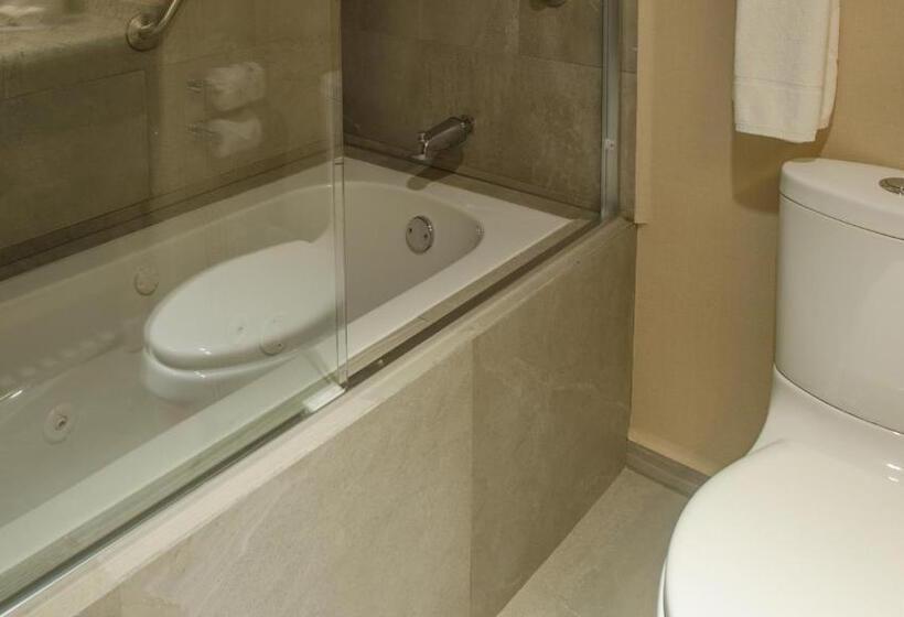 行政房间, Holiday Inn Express And Suites Celaya, An Ihg