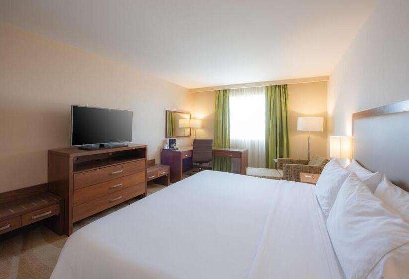 行政房间, Holiday Inn Express And Suites Celaya, An Ihg