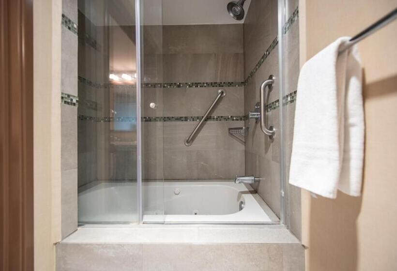 行政房间, Holiday Inn Express And Suites Celaya, An Ihg