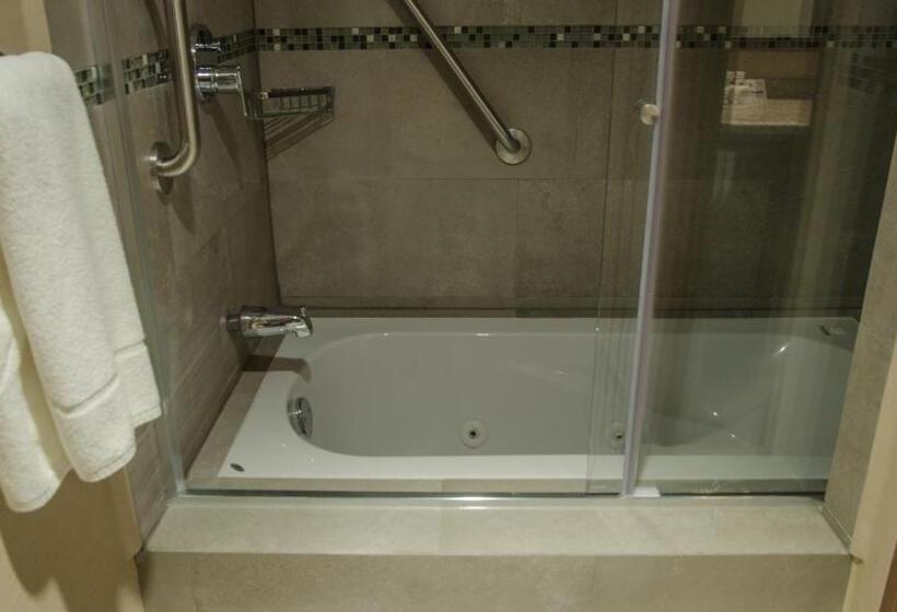 带大床的套房, Holiday Inn Express And Suites Celaya, An Ihg