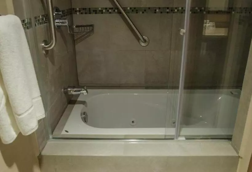 キングサイズベッドのスイートルーム, Holiday Inn Express And Suites Celaya, An Ihg