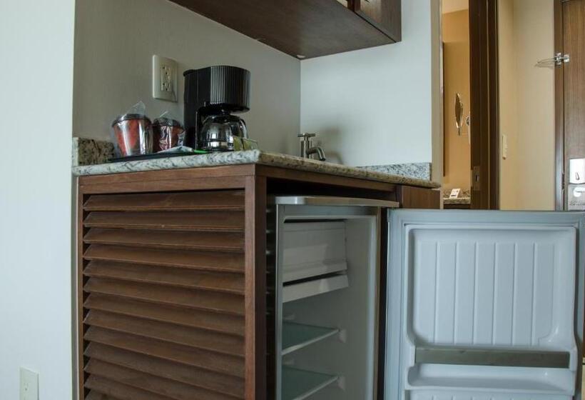 带大床的套房, Holiday Inn Express And Suites Celaya, An Ihg