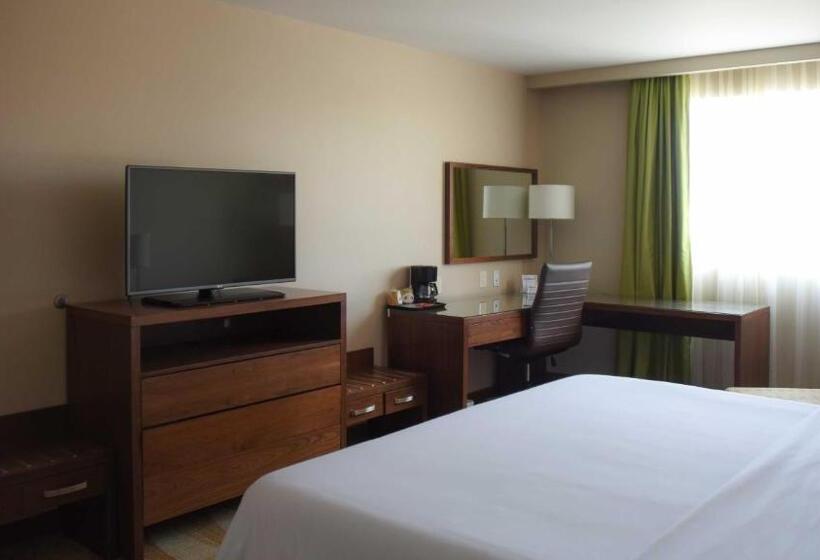 标准间, Holiday Inn Express And Suites Celaya, An Ihg