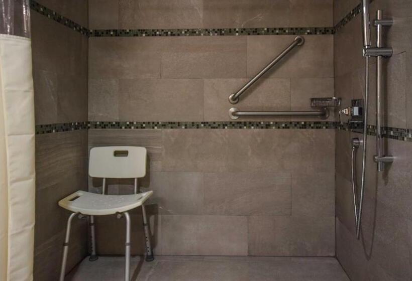 身障者適用キングサイズベッドルーム, Holiday Inn Express And Suites Celaya, An Ihg