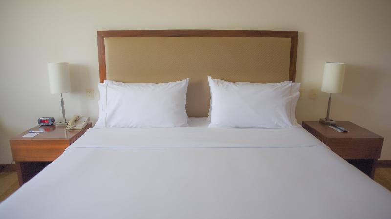 适合残疾人士使用的带超级大床的标准间, Holiday Inn Express And Suites Celaya, An Ihg