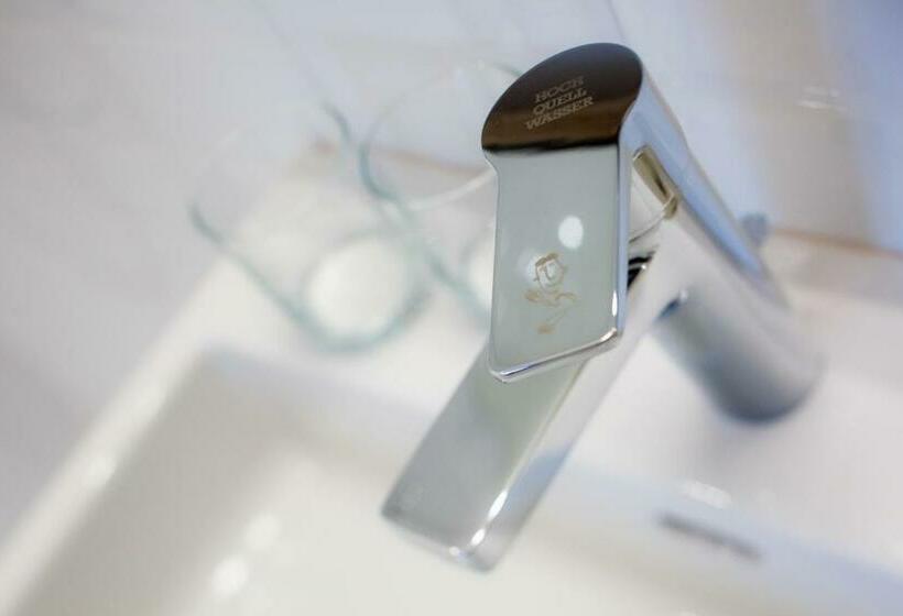 اتاق دوبلکس, Schani Wien