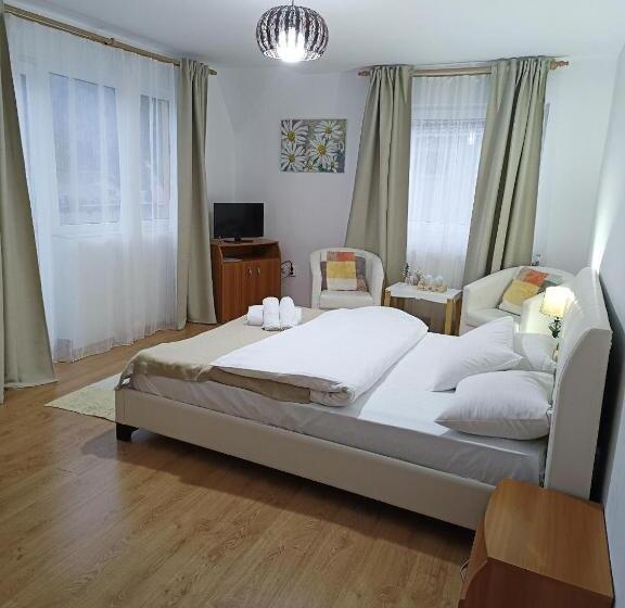 스탠다드 룸, D&d Busteni