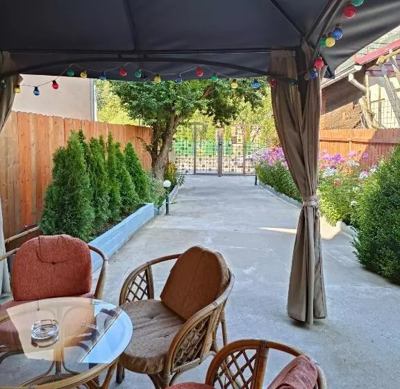 Apartament 1 Dormitori amb Vistes, D&d Busteni