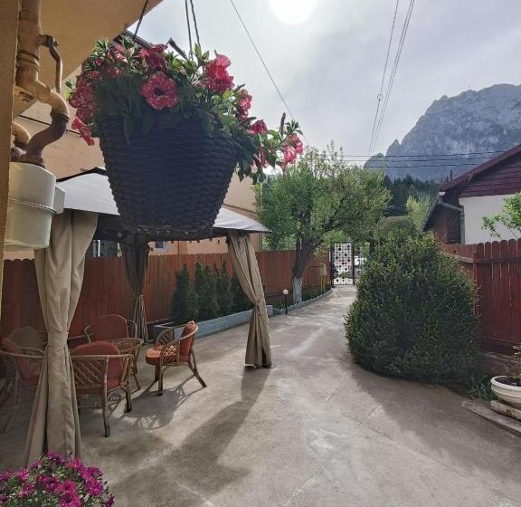 침실 1개 전망 아파트, D&d Busteni