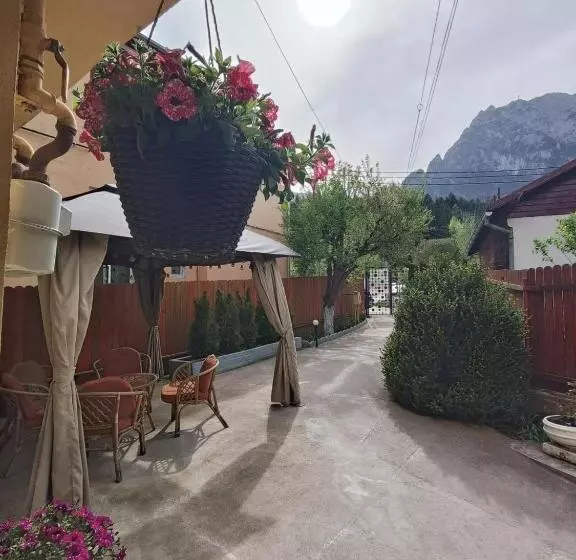 Apartament 1 Dormitori amb Vistes, D&d Busteni