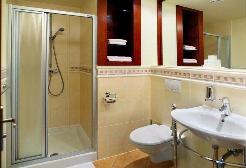 חדר סופריור, Wellness Hotel Happy Star