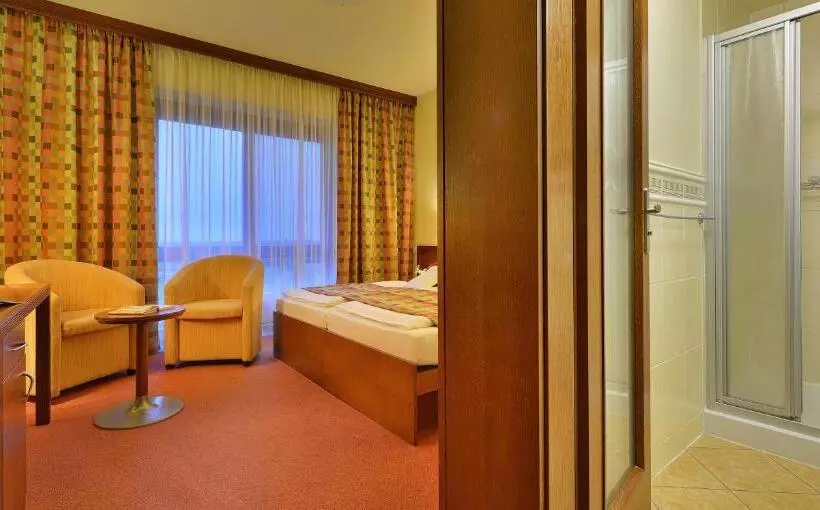 スーペリアールーム, Wellness Hotel Happy Star