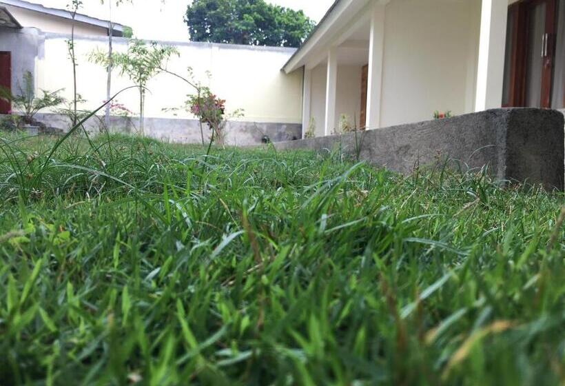 חדר דלוקס, Green Rinjani