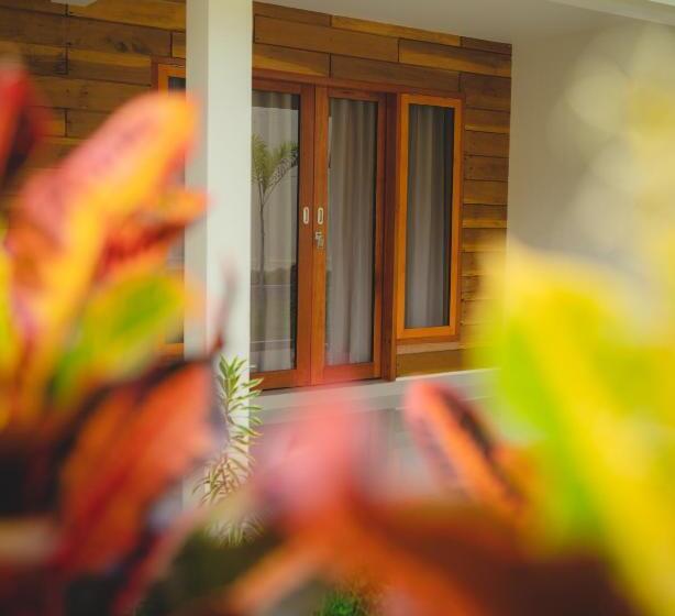 חדר דלוקס, Green Rinjani