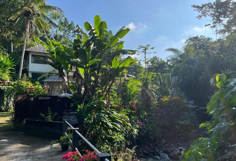 标准单人间共用浴室, Balian Bliss Retreat Bungalow & Villas