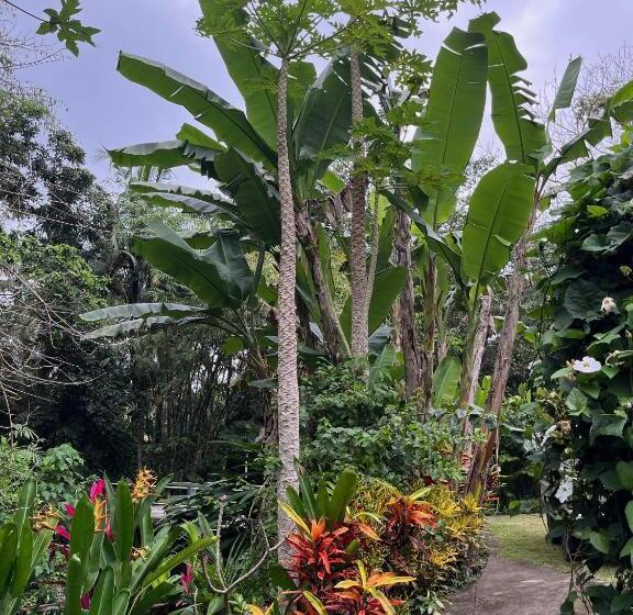 标准单人间共用浴室, Balian Bliss Retreat Bungalow & Villas