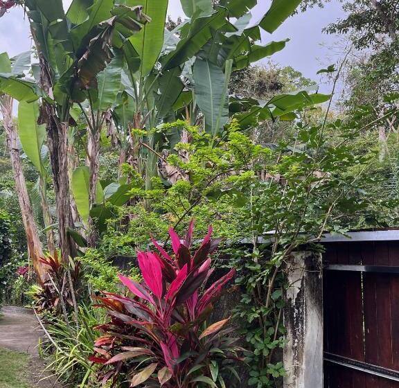 标准单人间共用浴室, Balian Bliss Retreat Bungalow & Villas