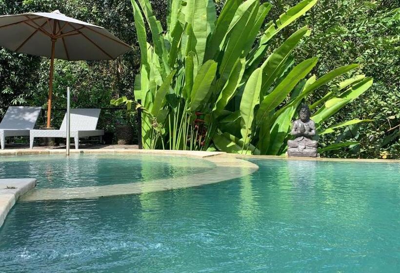Номер Стандарт Индивидуальный Совместная Ванная, Balian Bliss Retreat Bungalow & Villas