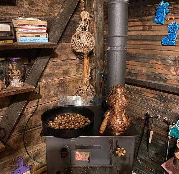 اتاق استاندارد چهار تخته, Zeni De Vore Serender & House