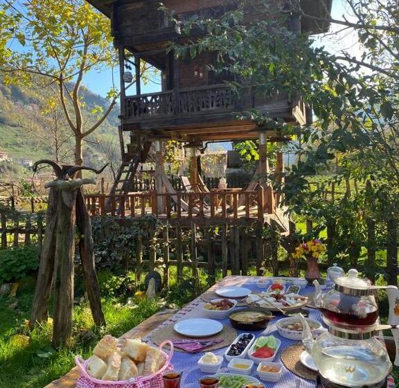 اتاق استاندارد سه نفره, Zeni De Vore Serender & House