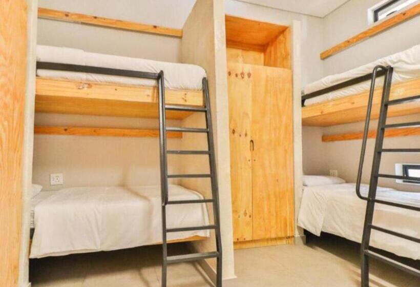 سرير فى غرفة مشتركه, Thuto Centre Conferencing & Bush Lodge